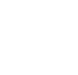 FemStudio logo