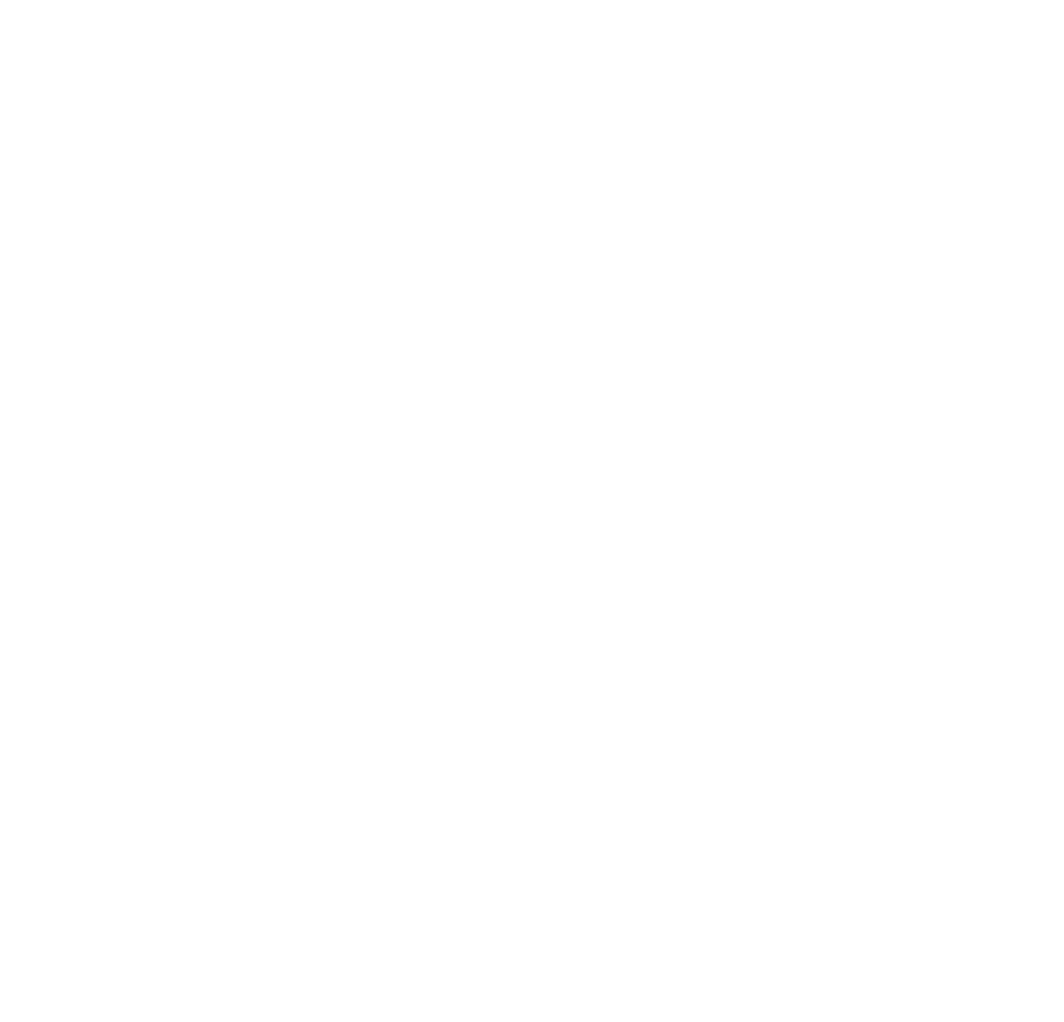 FemStudio logo